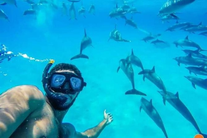 Dolphin Lagoon 2 days 5