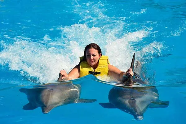 Dolphin-Show-Hurghada-and-Swimming-with-Dolphins-7