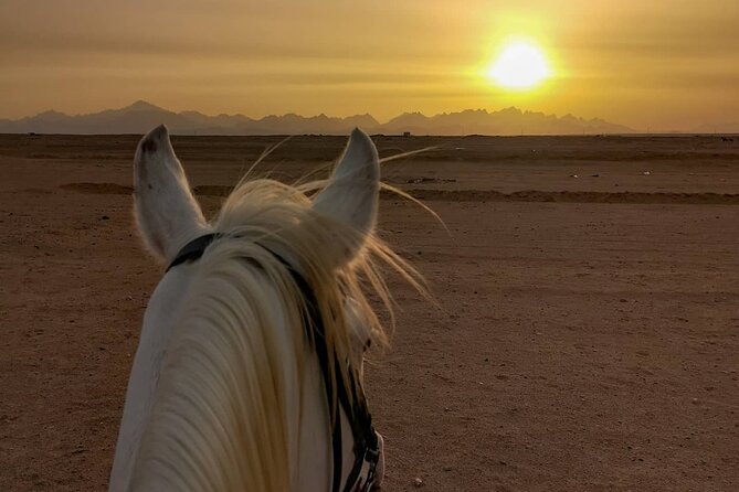 Horseback riding with sunset bathing 3 hours 10