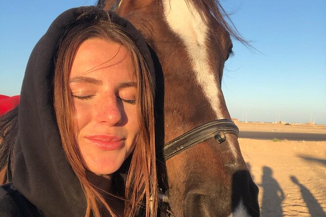 Horseback riding with sunset bathing 3 hours 7