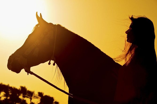 Horseback riding with sunset bathing 3 hours 8