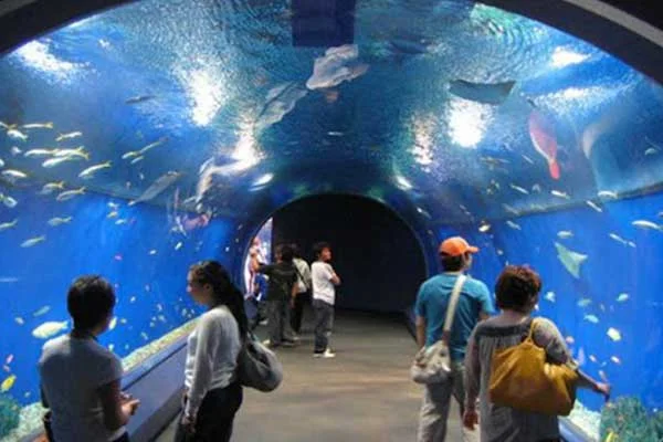 Hurghada-Grand-Aquarium-8