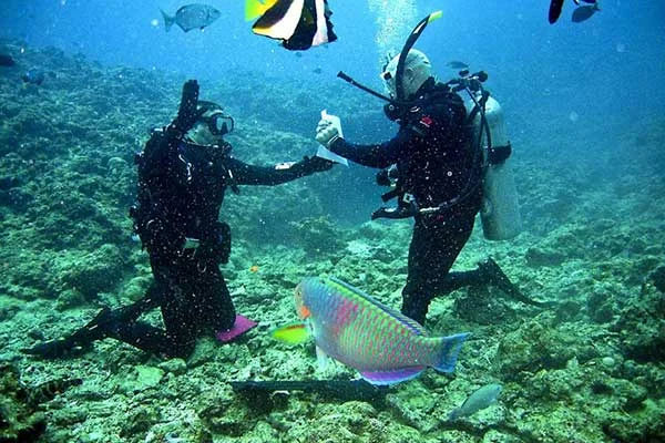 hurghada_diving5