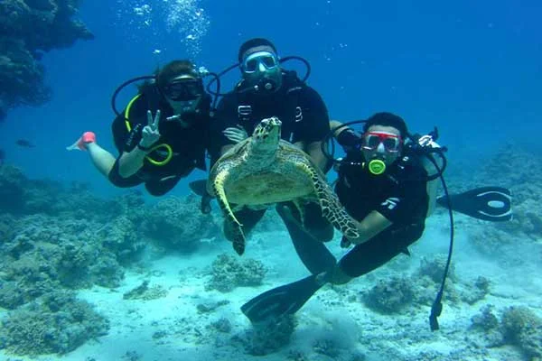 hurghada_diving2